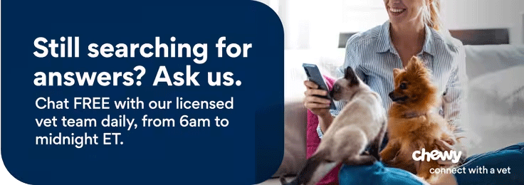 Get Instant Vet Help Via Chat or Video. Connect with a Vet. Chewy Health