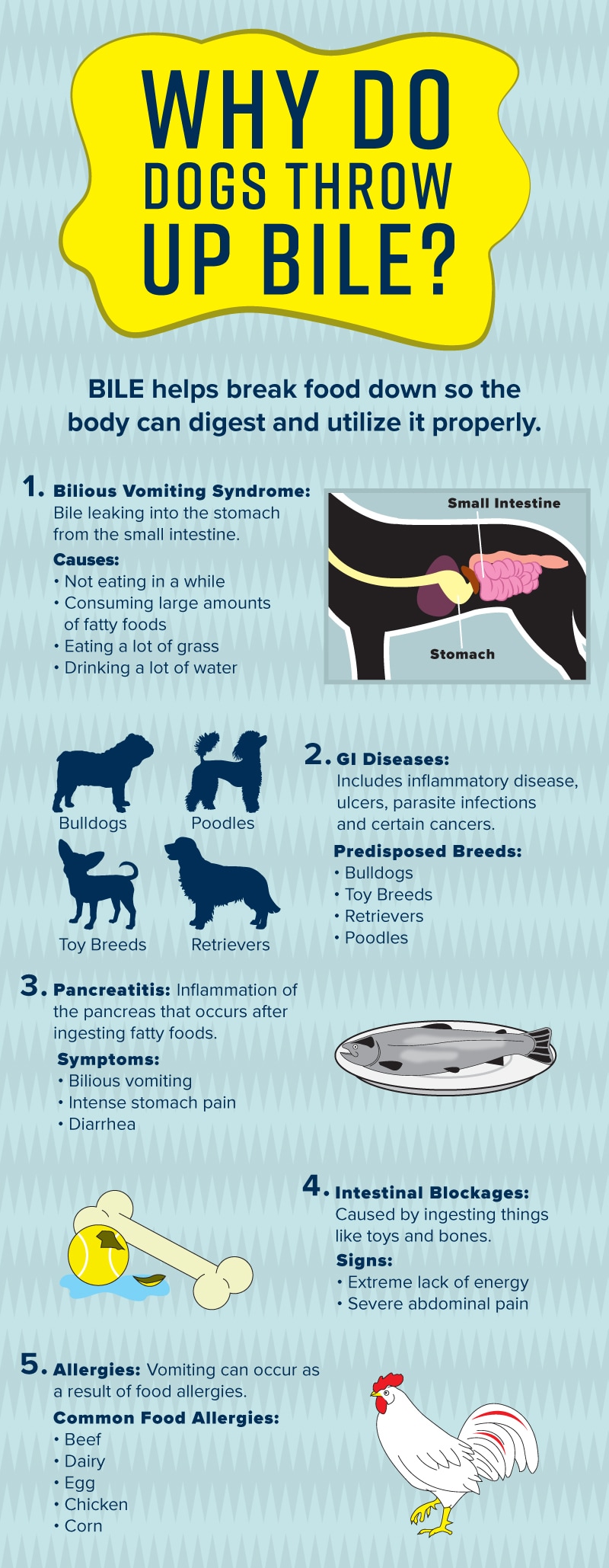导致狗狗呕吐胆汁的原因包括胆汁性呕吐综合征、胃肠道疾病、胰腺炎、肠阻塞和食物过敏。